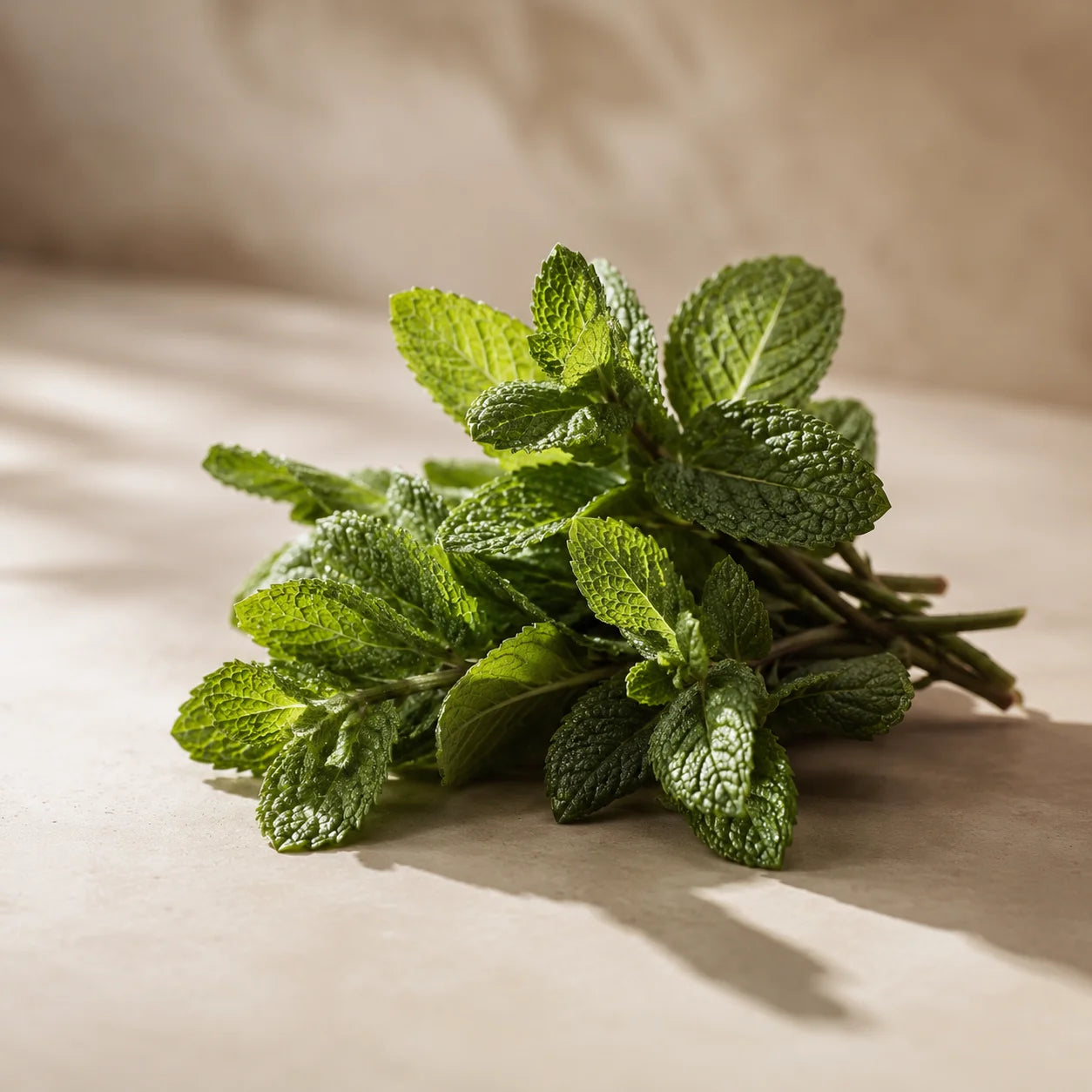 Spearmint